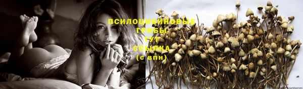 соль ск Михайлов