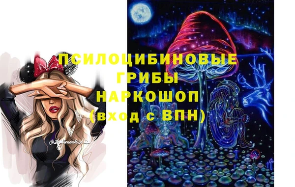 соль ск Михайлов