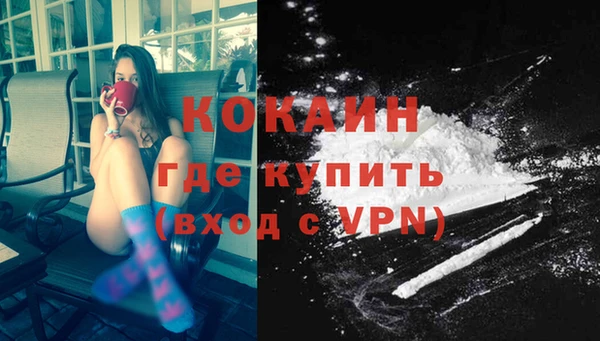 соль ск Михайлов