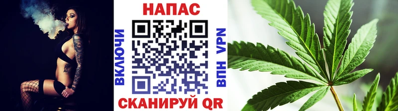 Бошки марихуана Amnesia  сколько стоит  Новосокольники 